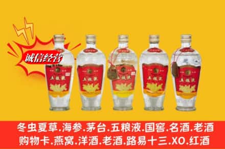 资阳市乐至回收老五粮液