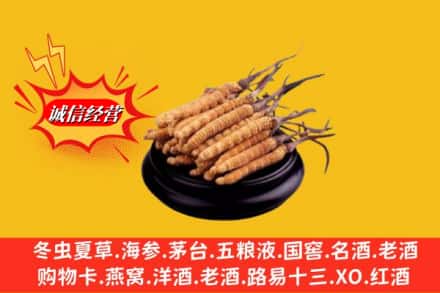 资阳市乐至名酒回收冬虫夏草.jpg